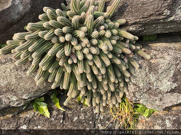 写真 2017-01-19 12 12 24.jpg