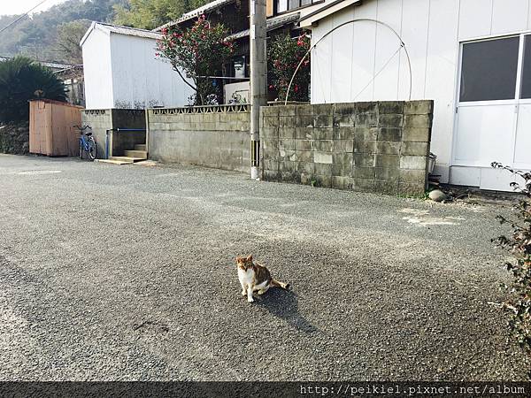 写真 2017-01-19 13 52 24.jpg