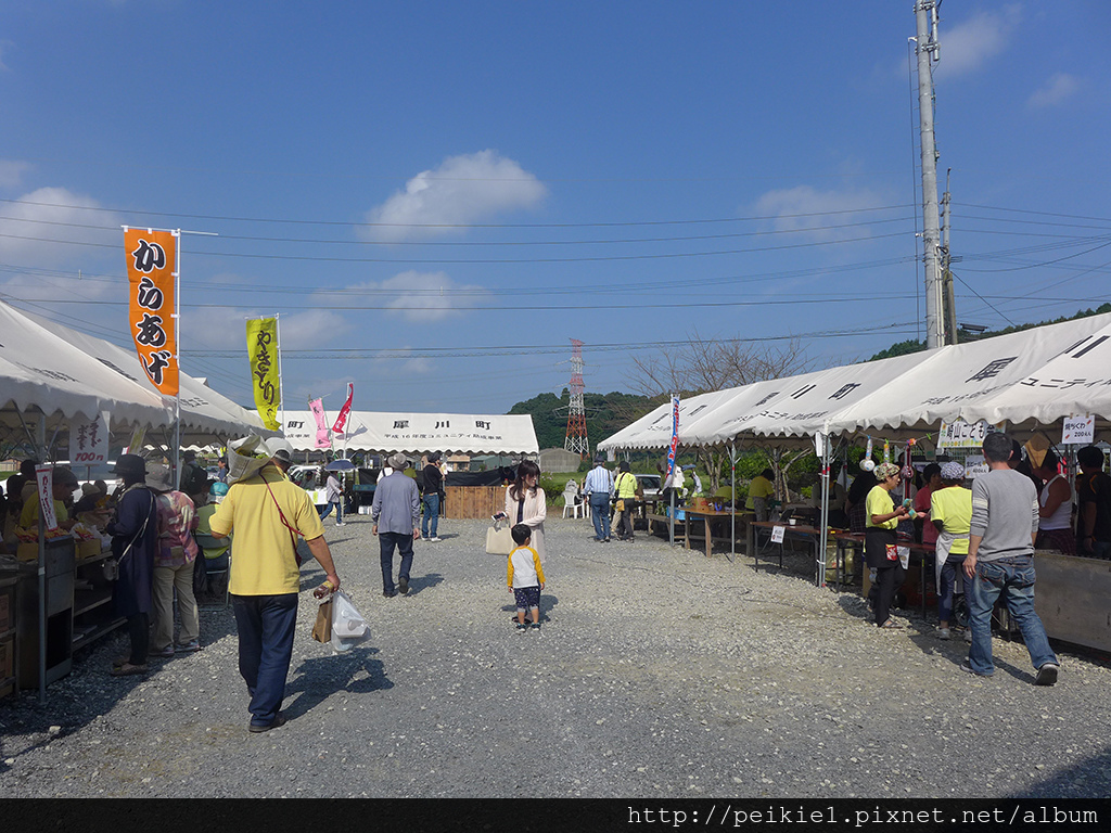 福岡県みやこ町ひまわり祭り山崎。福岡縣京都町向日葵花祭典 福岡県みやこ町ひまわり祭り山崎。福岡縣京都町向日葵花祭典