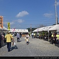 福岡県みやこ町ひまわり祭り山崎。福岡縣京都町向日葵花祭典