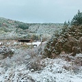 九重森林公園滑雪場。預約：https://www.greencl.co.jp/info/1544/