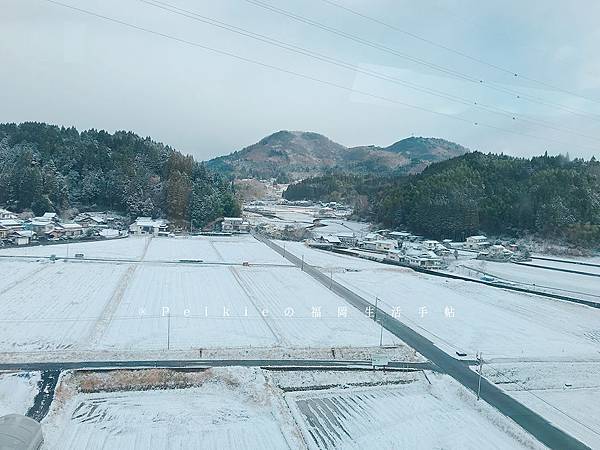 九重森林公園滑雪場。預約：https://www.greencl.co.jp/info/1544/