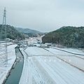 九重森林公園滑雪場。預約：https://www.greencl.co.jp/info/1544/