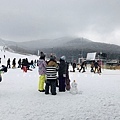 九重森林公園滑雪場。預約：https://www.greencl.co.jp/info/1544/