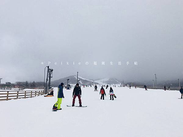 九重森林公園滑雪場。預約：https://www.greencl.co.jp/info/1544/