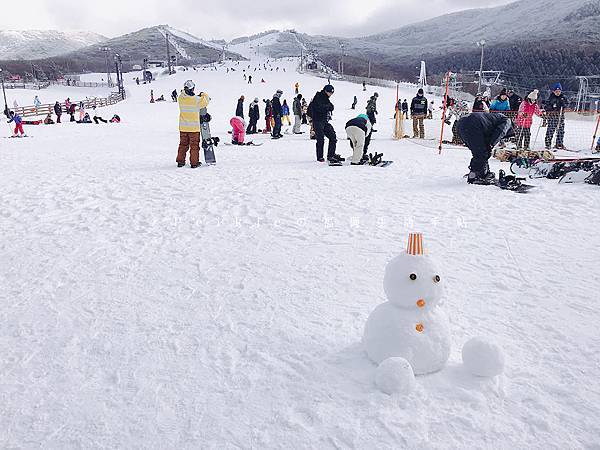 九重森林公園滑雪場。預約：https://www.greencl.co.jp/info/1544/