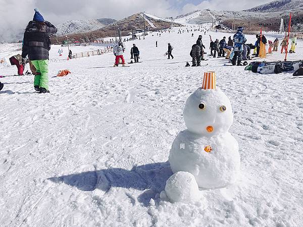 九重森林公園滑雪場。預約：https://www.greencl.co.jp/info/1544/