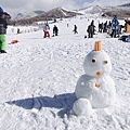 九重森林公園滑雪場。預約：https://www.greencl.co.jp/info/1544/