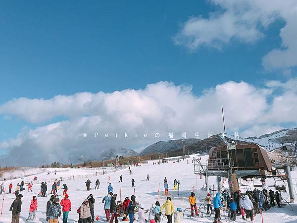 九重森林公園滑雪場。預約：https://www.greencl.co.jp/info/1544/