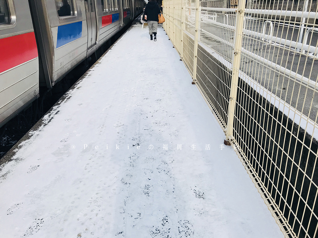 201802福岡 雪 201802福岡 雪