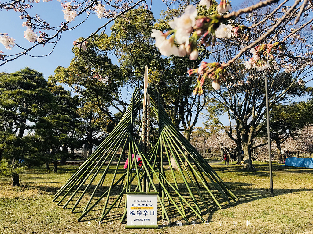 210803福岡追櫻花。舞鶴公園西公園還有不知名的小公園