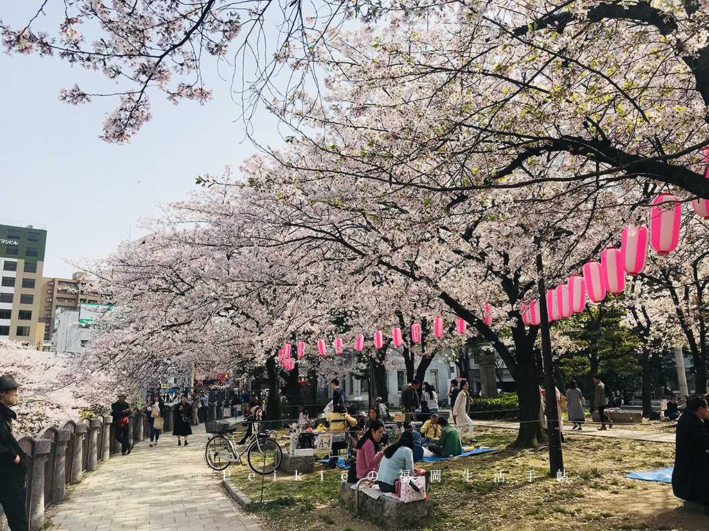 福岡天神中央公園