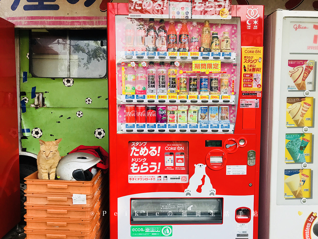 福岡地點最高的熱狗堡店的背後故事。 福岡地點最高的熱狗堡店的背後故事。