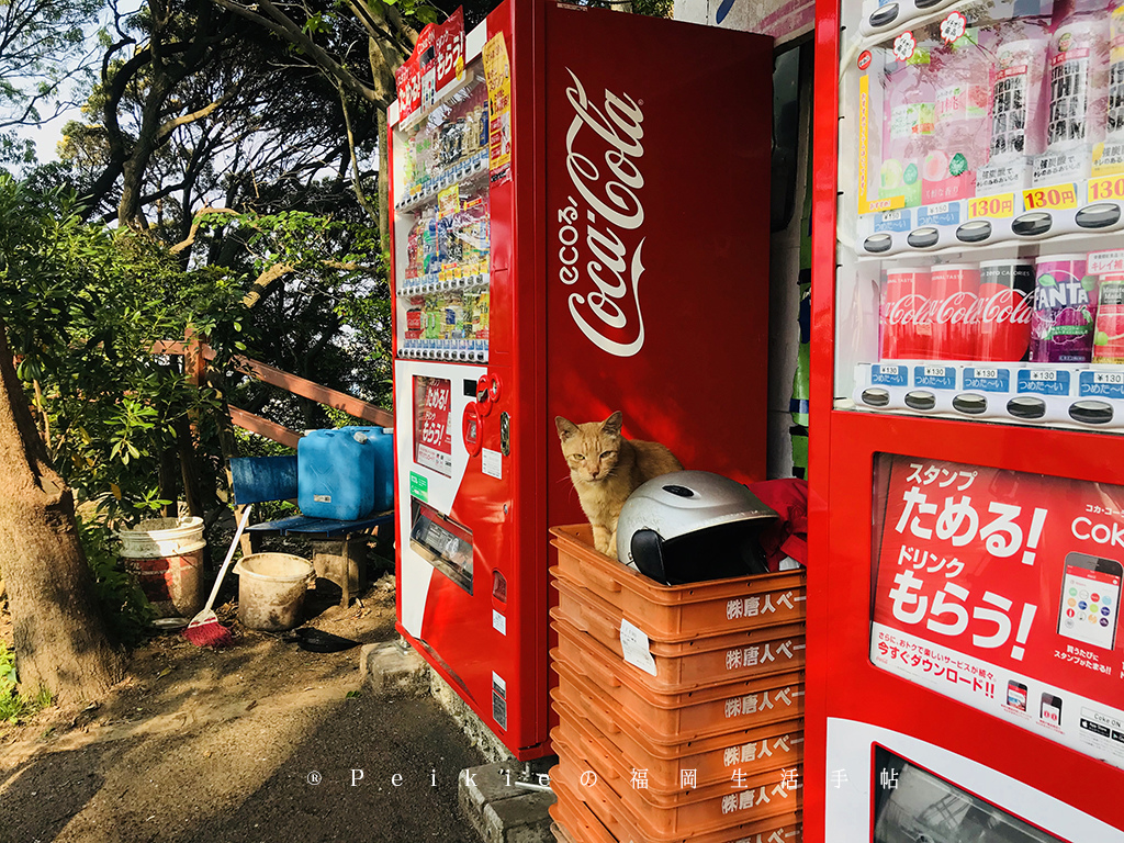 福岡地點最高的熱狗堡店的背後故事。