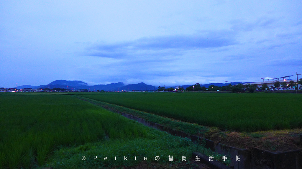 福岡小郡花火大会・福岡小郡花火大會