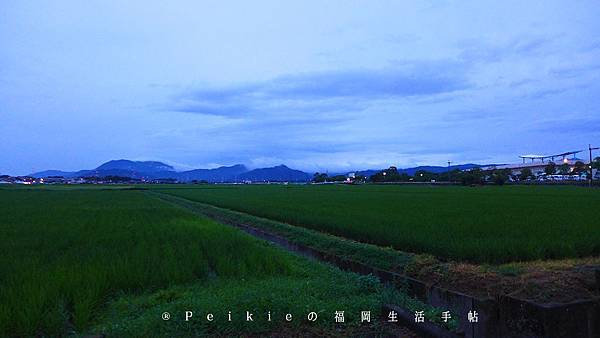 福岡小郡花火大会・福岡小郡花火大會