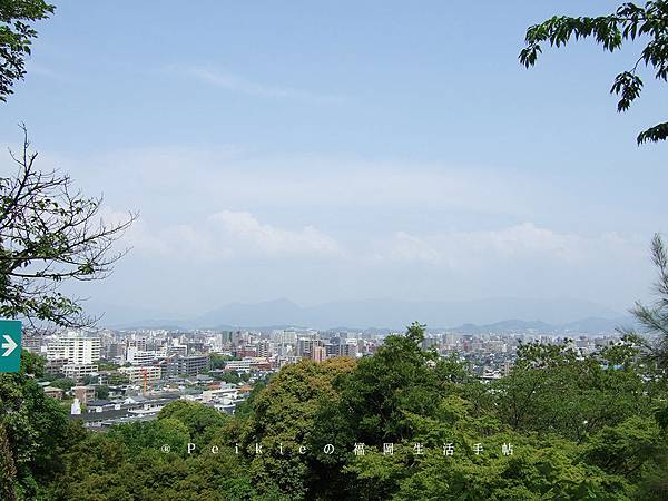 福岡市植物園玫瑰花展