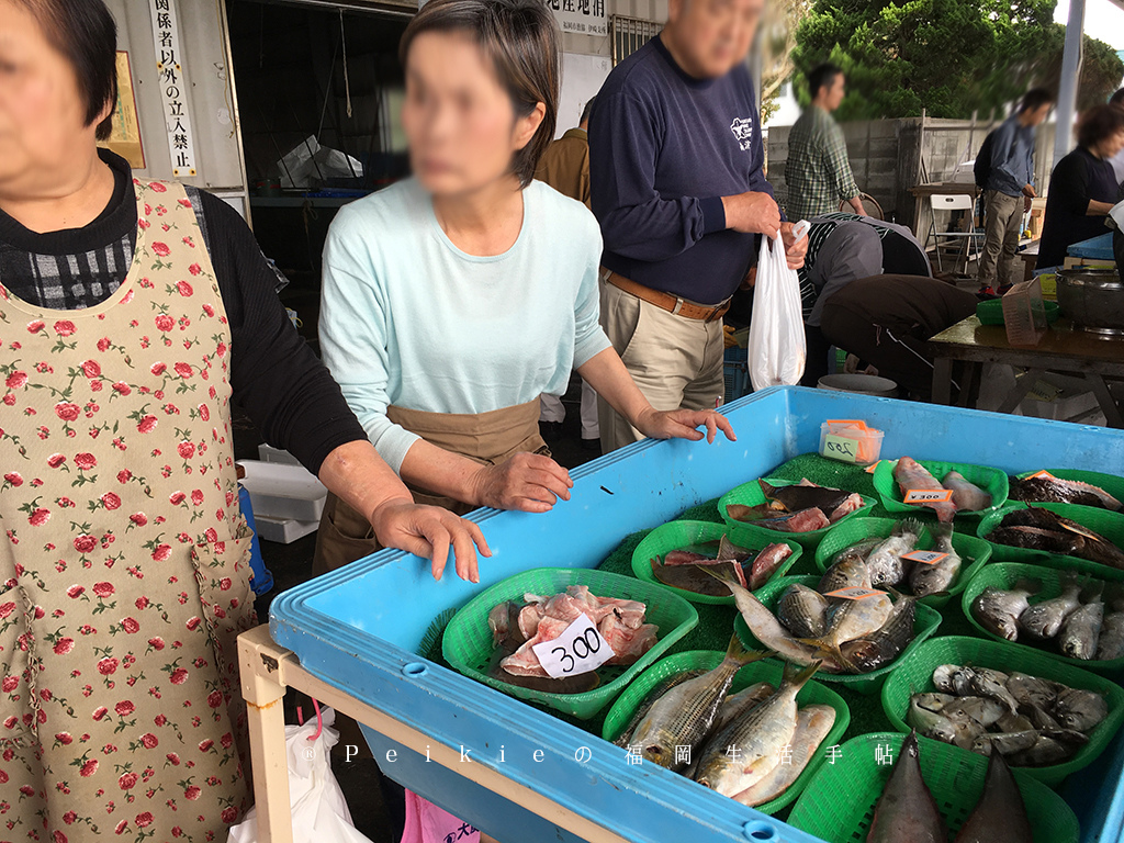 福岡居民買新鮮魚貨好去處・福岡市魚協伊崎支所