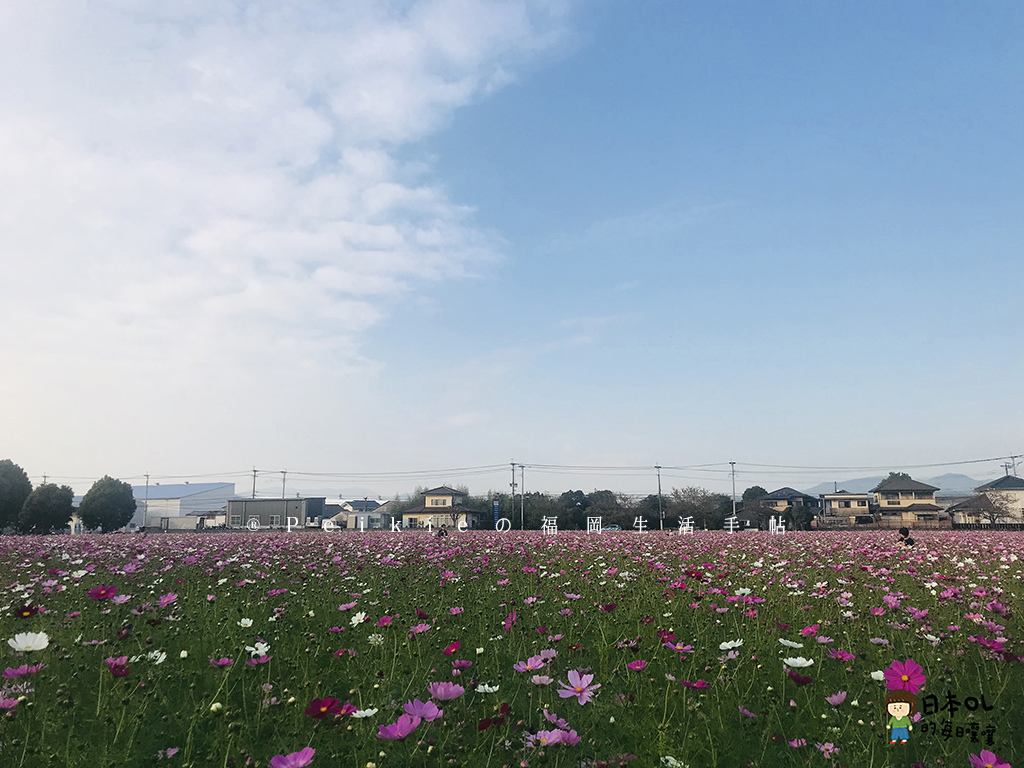 福岡縣小郡麒麟啤酒工廠見學參觀