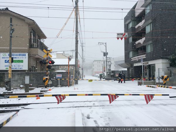 福岡幾月會下雪？