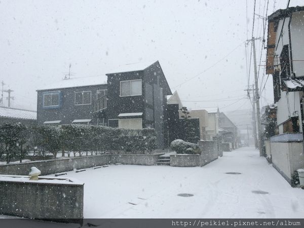 福岡幾月會下雪？