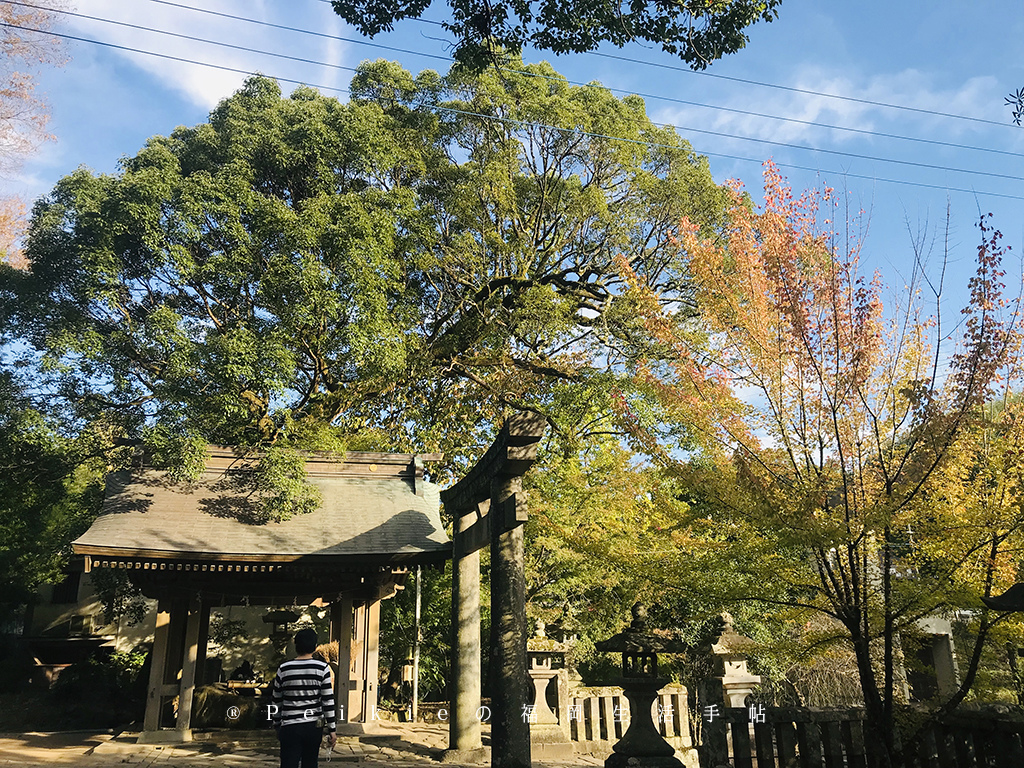 九州大分縣日田的千年灯祭典，日田小鎮秋季散策