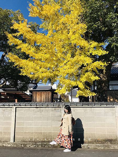 九州日田千屋鰻魚飯三吃（日田まぶし千屋）うなぎ
