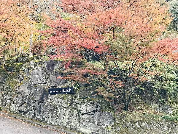 中津市的深耶馬溪，景點一目八景