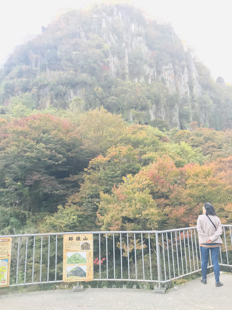 漂亮的紅色深耶馬溪紅葉 一目八景與手工蕎麥麵 行動貓 漂亮的紅色深耶馬溪紅葉 一目八景與手工蕎麥麵 行動貓