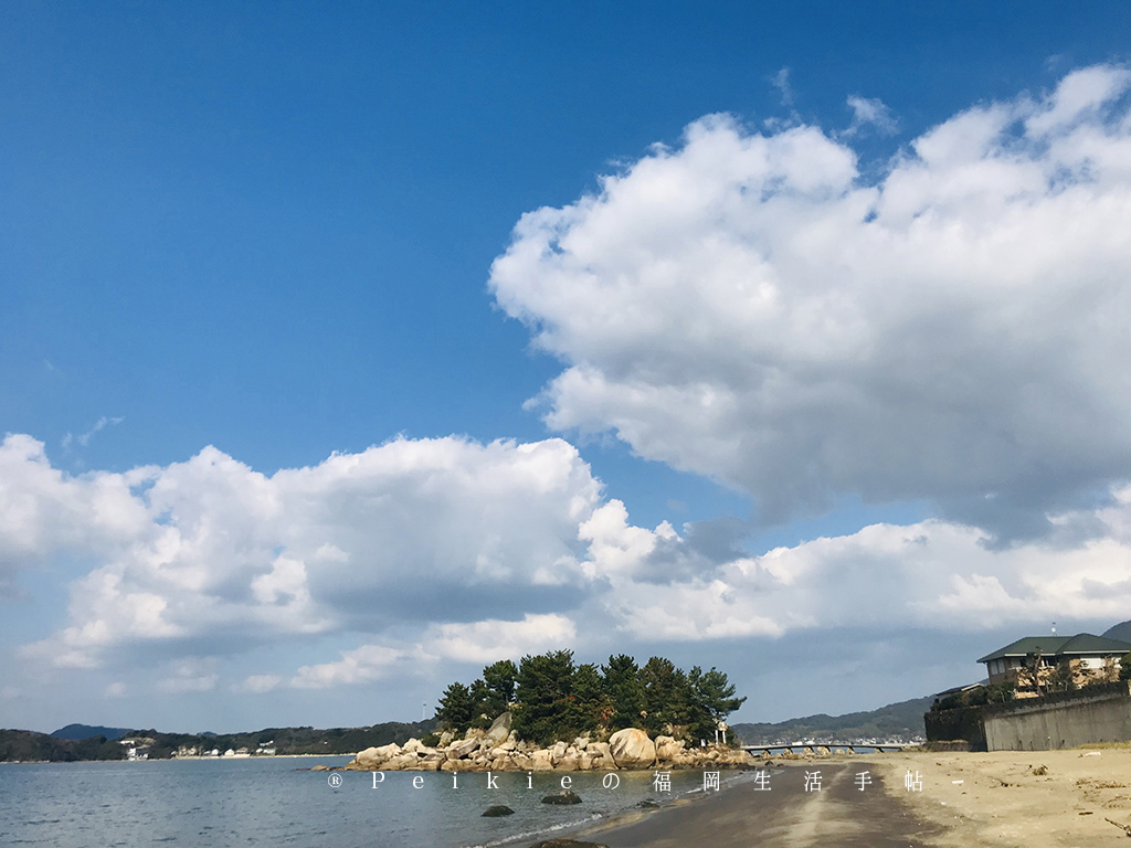 福岡糸島的秘境ー箱島神社與枯木海砂的海鹽布丁