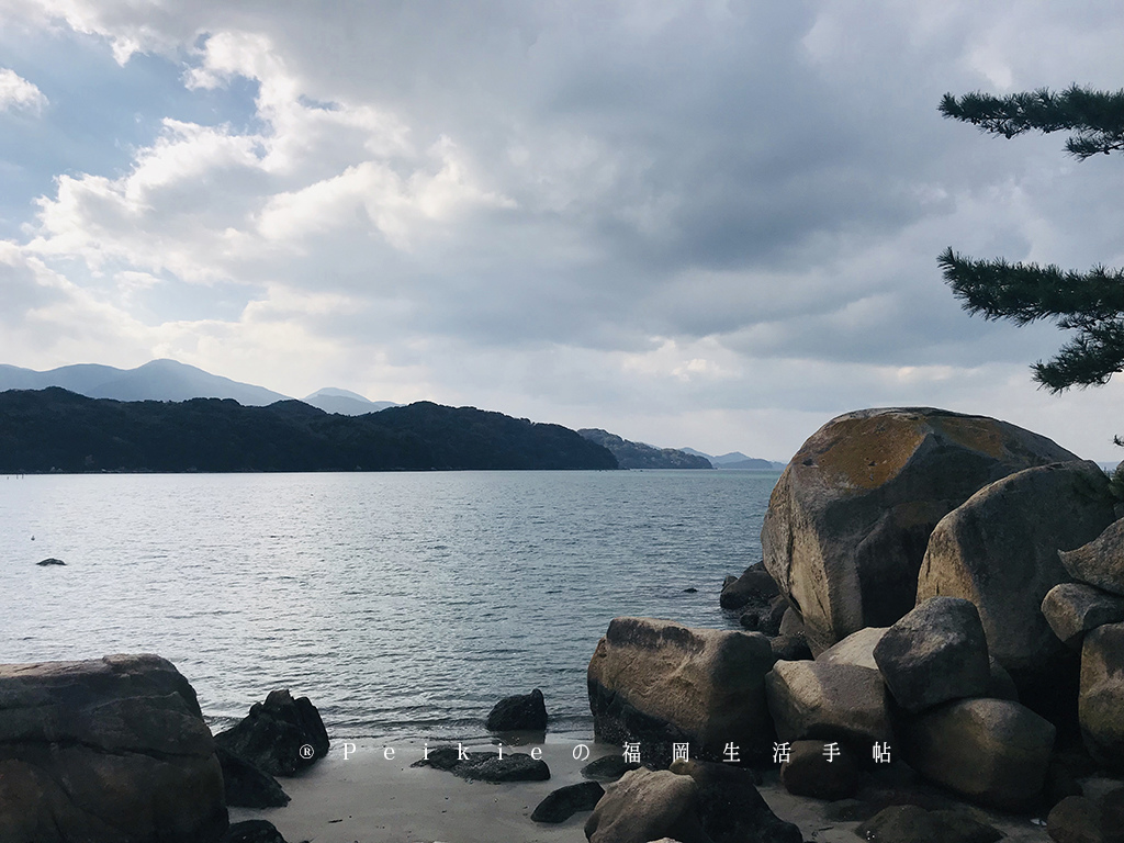 福岡糸島的秘境ー箱島神社與枯木海砂的海鹽布丁