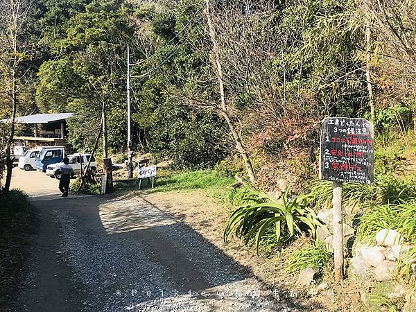 福岡糸島的秘境ー箱島神社與枯木海砂的海鹽布丁