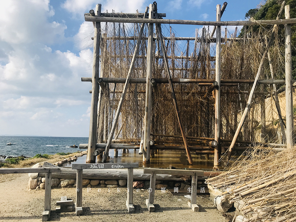 福岡糸島的秘境ー箱島神社與枯木海砂的海鹽布丁