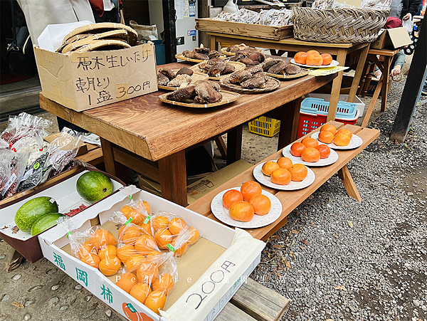 2021年大分県中津一目八景、御霊もみじ、汽車ボッボ、鬼太郎鱧料理