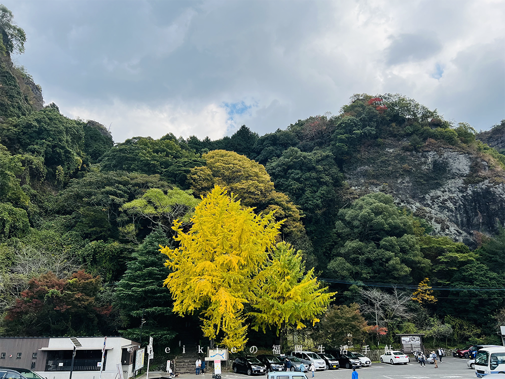 2021年大分県中津一目八景、御霊もみじ、汽車ボッボ、鬼太郎鱧料理