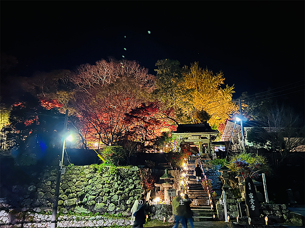 豊後高田小旅行昭和街解憂雜貨店場景・新蕎麥麵・農泊手作日本花藝・