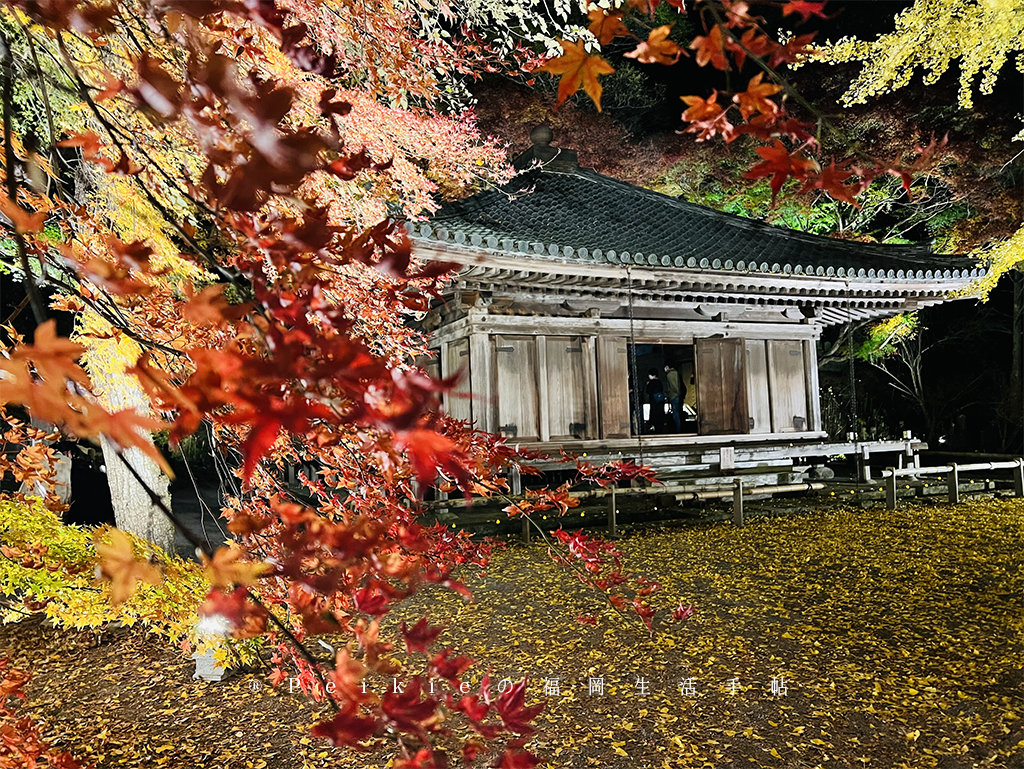 豊後高田小旅行昭和街解憂雜貨店場景・新蕎麥麵・農泊手作日本花藝・