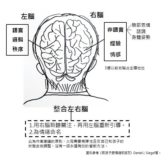 20170918大腦知識區-左右腦.png