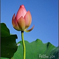 DSC01735.jpg