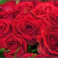 DSC07854.jpg