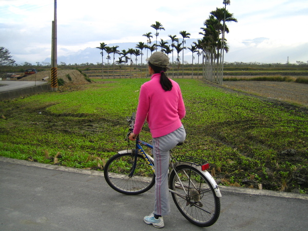 200701台東海端