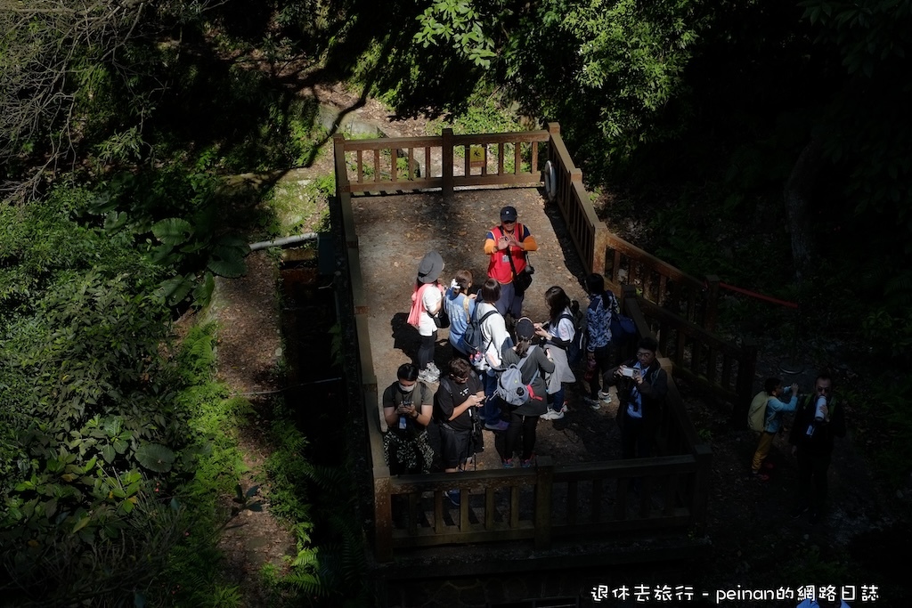 【台北小旅行】草山，藍寶石泉秘道