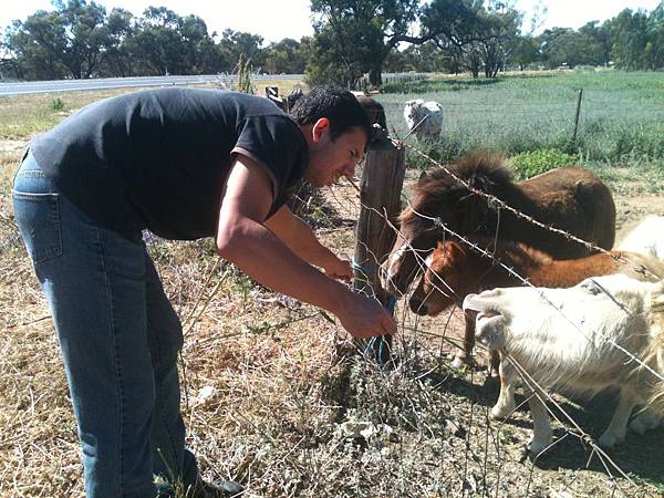 IMG_5113 IMG_5113