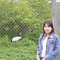 455_丹頂鶴公園.JPG