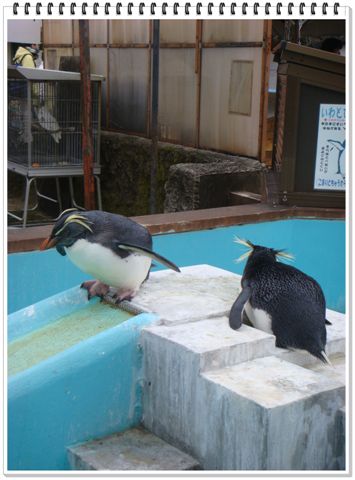 290_京都動物園.JPG