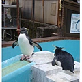 291_京都動物園.JPG