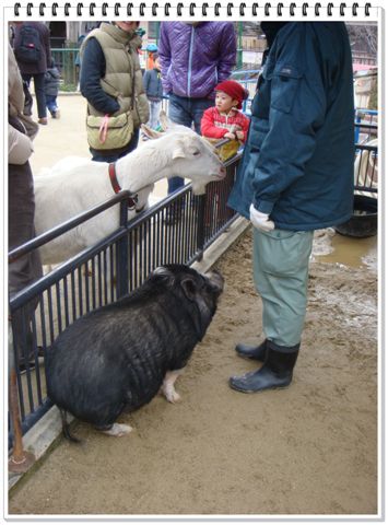 293_京都動物園.JPG