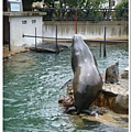 312_京都動物園.JPG