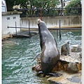 313_京都動物園.JPG