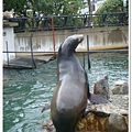 316_京都動物園.JPG